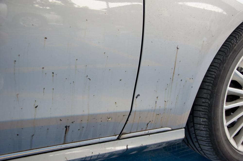 5 วิธีป้องกันยางมะตอยติดรถ ก่อนออกทริปหรือจอดใกล้ก่อสร้าง